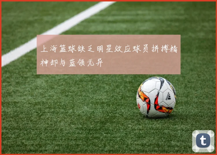 上海篮球缺乏明星效应球员拼搏精神却与蓝领无异