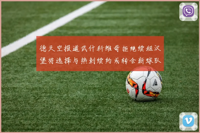 德天空报道武什科维奇拒绝续租汉堡将选择与热刺续约或转会新球队