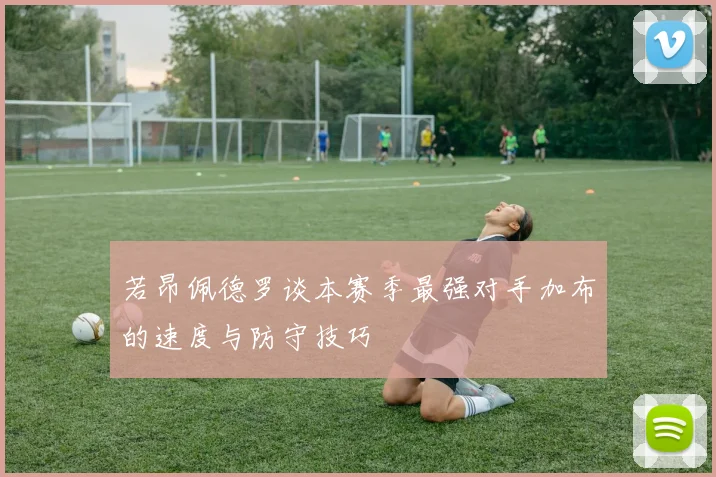 若昂佩德罗谈本赛季最强对手加布的速度与防守技巧